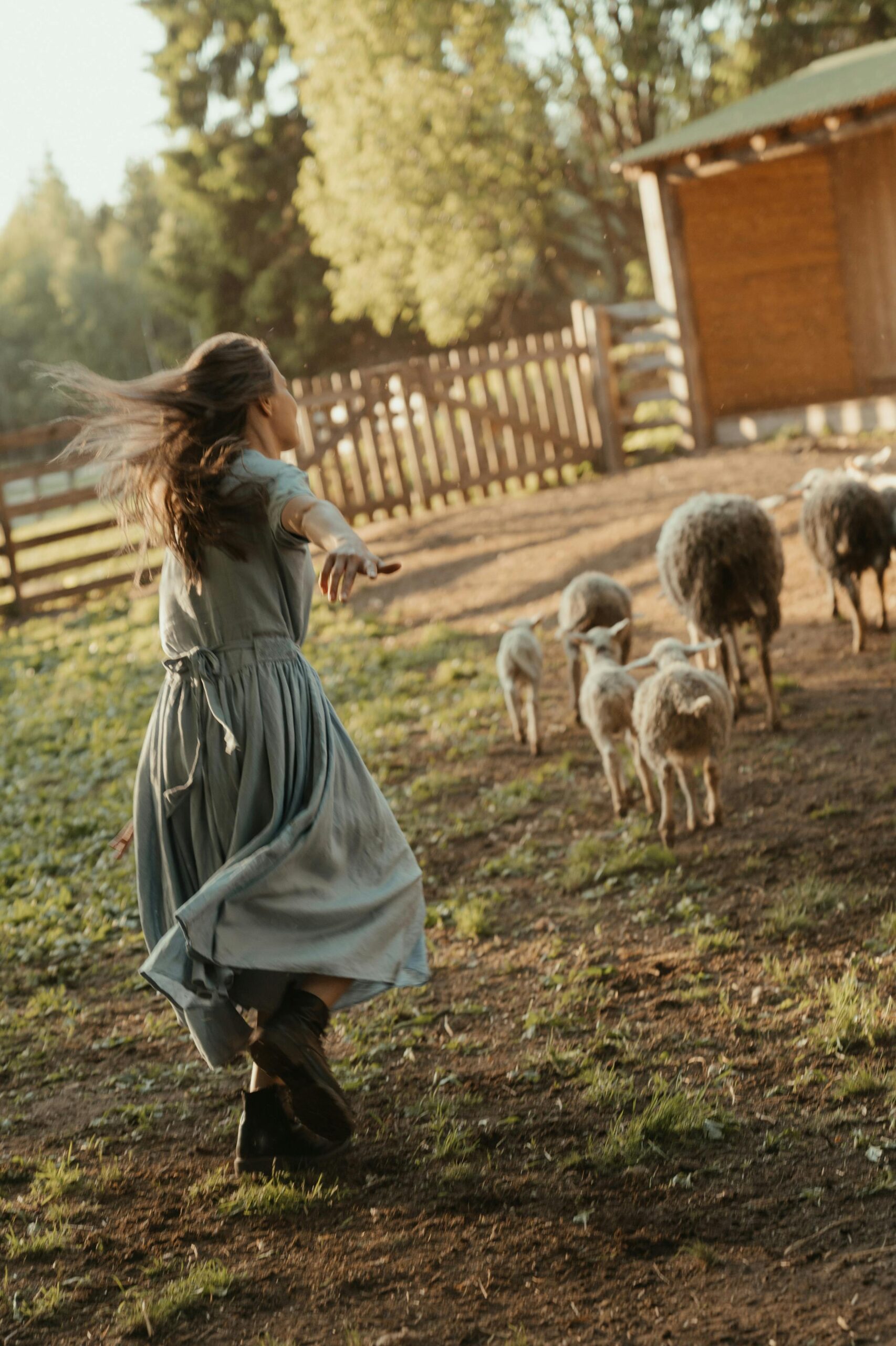 Person in a flowing dress walking among sheep in a sunny field, symbolizing sustainable living and connection with nature.